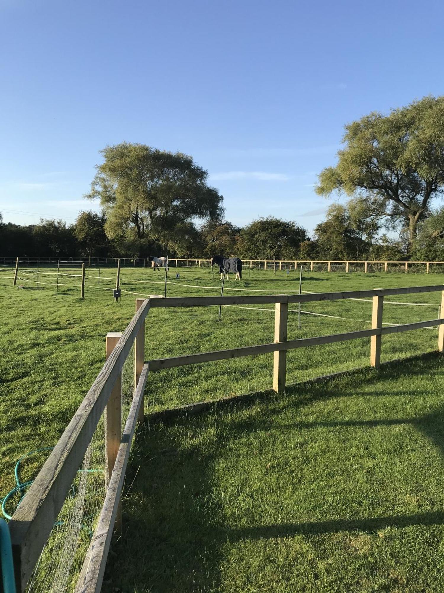 Shiptonthorpe Robeanne House Holiday Accommodation חדר תמונה