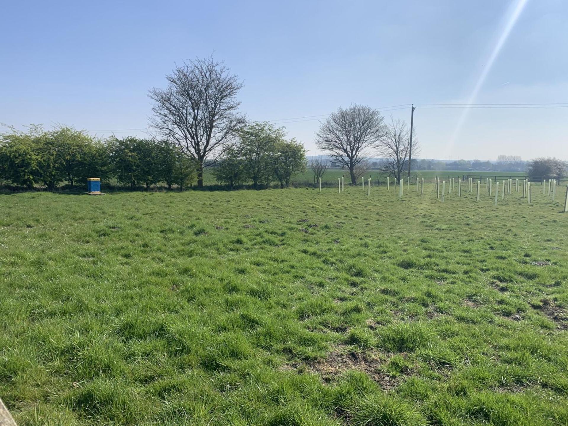 Shiptonthorpe Robeanne House Holiday Accommodation מראה חיצוני תמונה